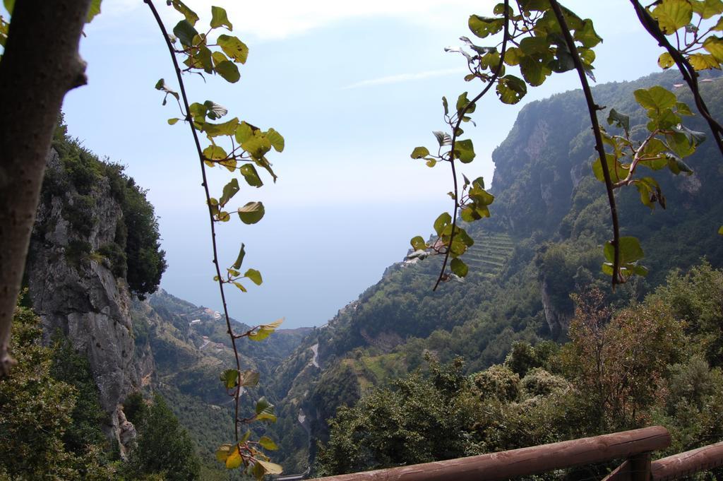 Bed and Breakfast La Cicogna Agerola Exterior foto